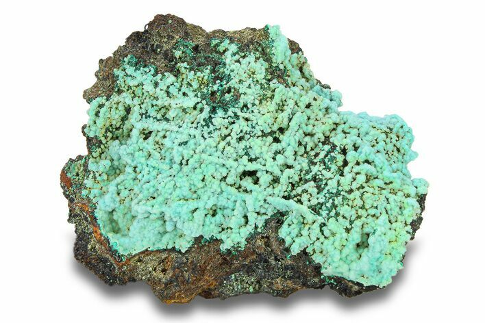 Blue Botryoidal Chrysocolla Formation - Namibia #285066